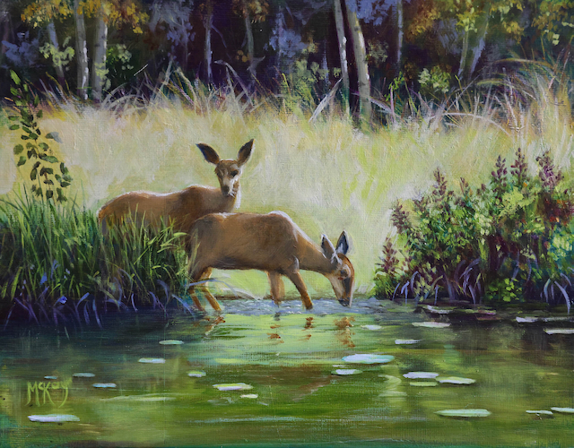Fawn At Pond 8x10 $450 at Hunter Wolff Gallery